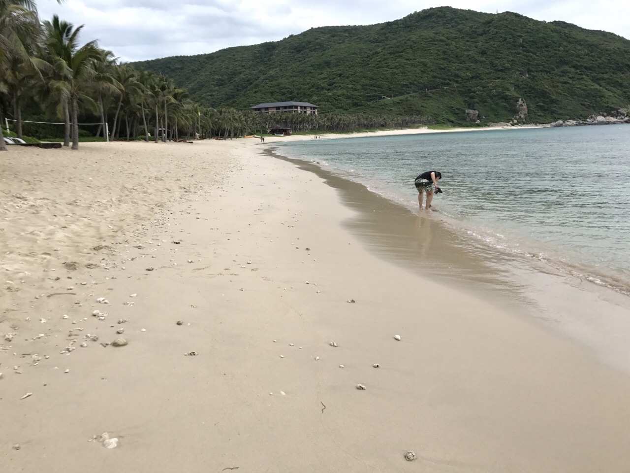 太阳湾海洋运动