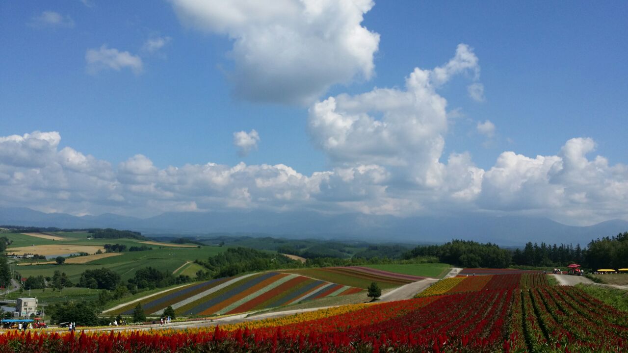 富田农场旅游景点攻略图