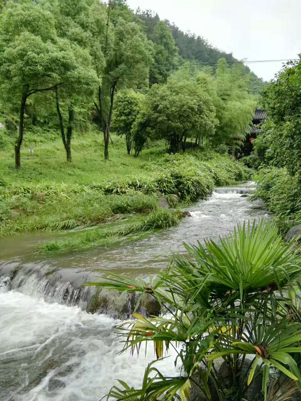 富春江琴溪香谷景区图片