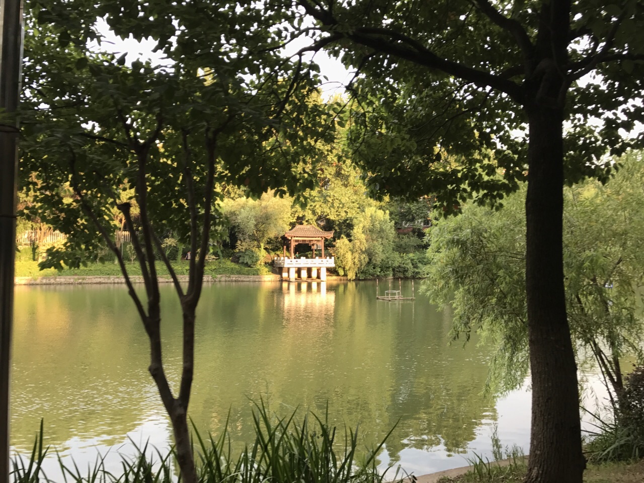 南京烏龍潭公園好玩嗎,南京烏龍潭公園景點怎麼樣_點評_評價【攜程