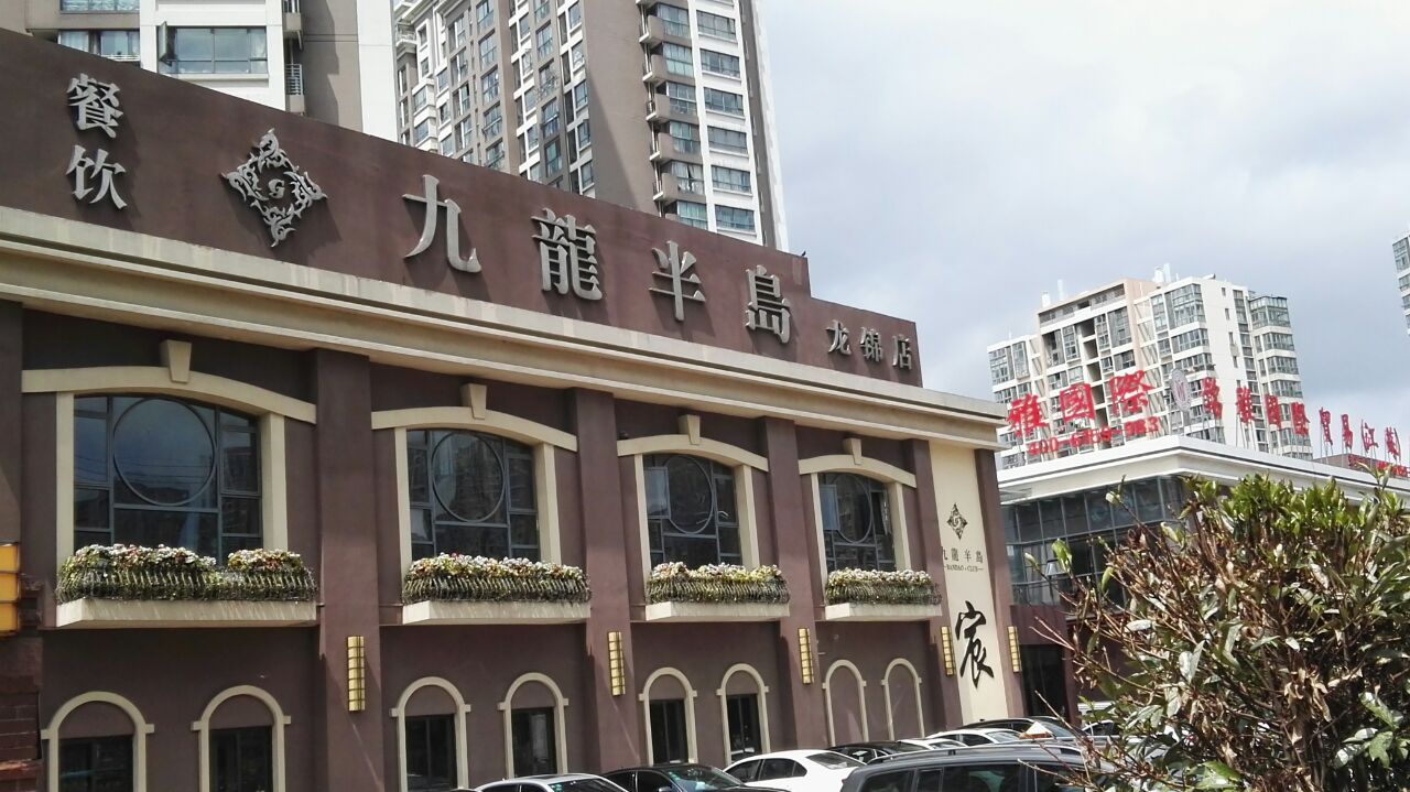 常州九龙半岛(龙锦店)好吃吗,九龙半岛(龙锦店)味道怎么样,环境/服务