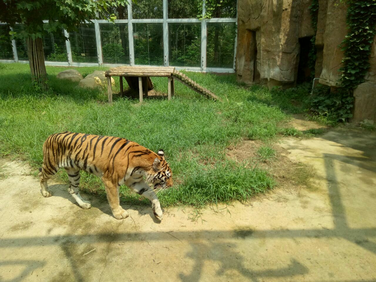 2019臨沂動植物園_旅遊攻略_門票_地址_遊記點評,臨沂旅遊景點推薦