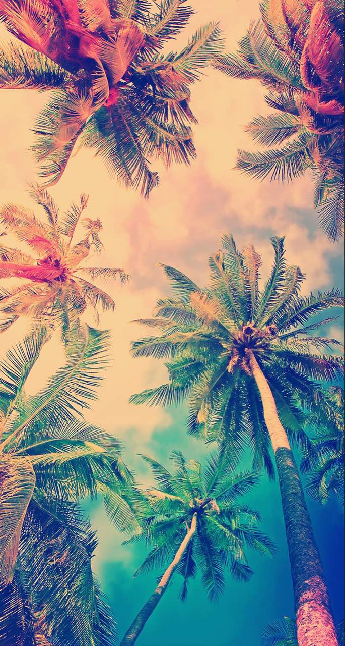 二十字二十字二十字二十字二十字二十字二十字二十