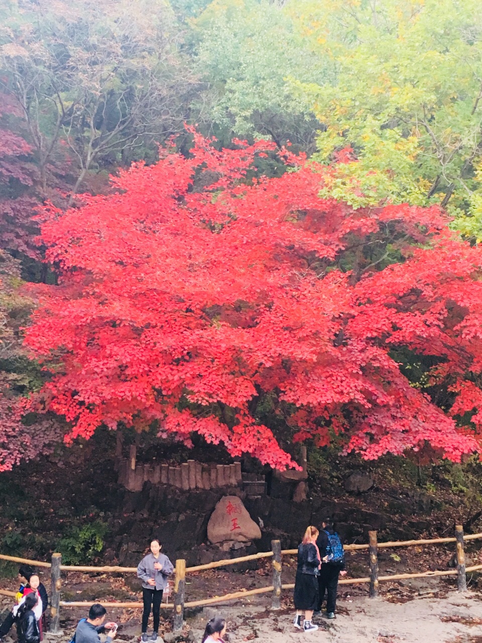 關門山國家森林公園