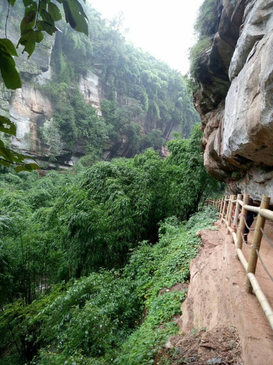 川西竹海峡谷自然景区图片