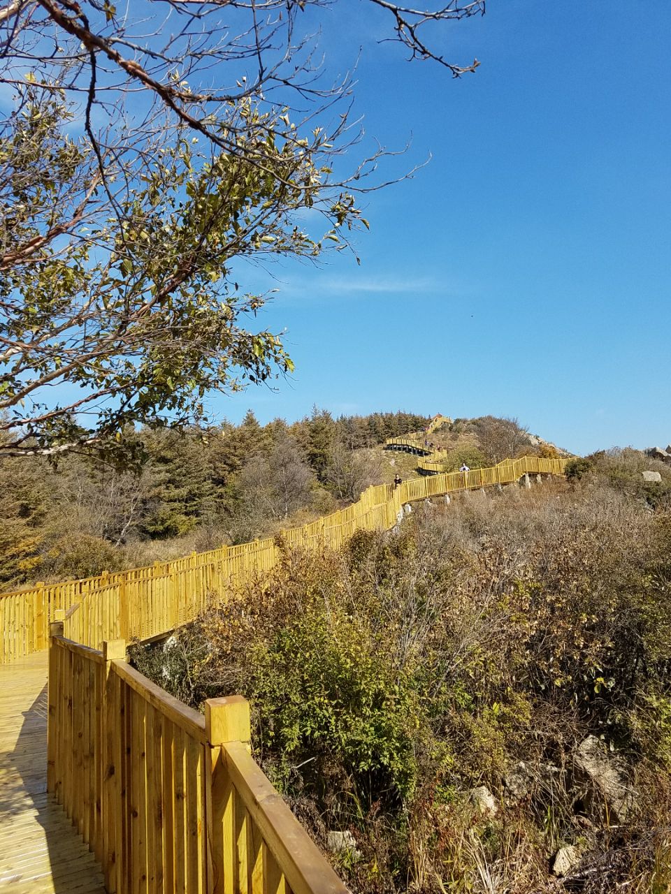 白草洼国家森林公园