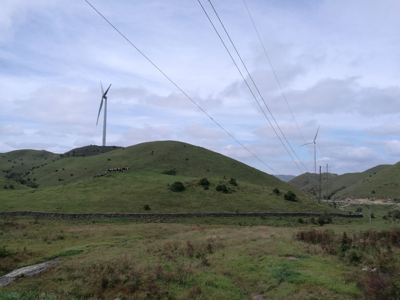 【攜程攻略】城步南山牧場好玩嗎,城步南山牧場景點怎麼樣_點評_評價