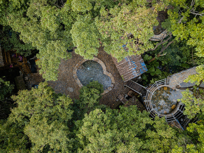 树上有个好地方完整版在哪看 10060l000000daonq291A_R_671_10000_Q90.jpg?proc=autoorient