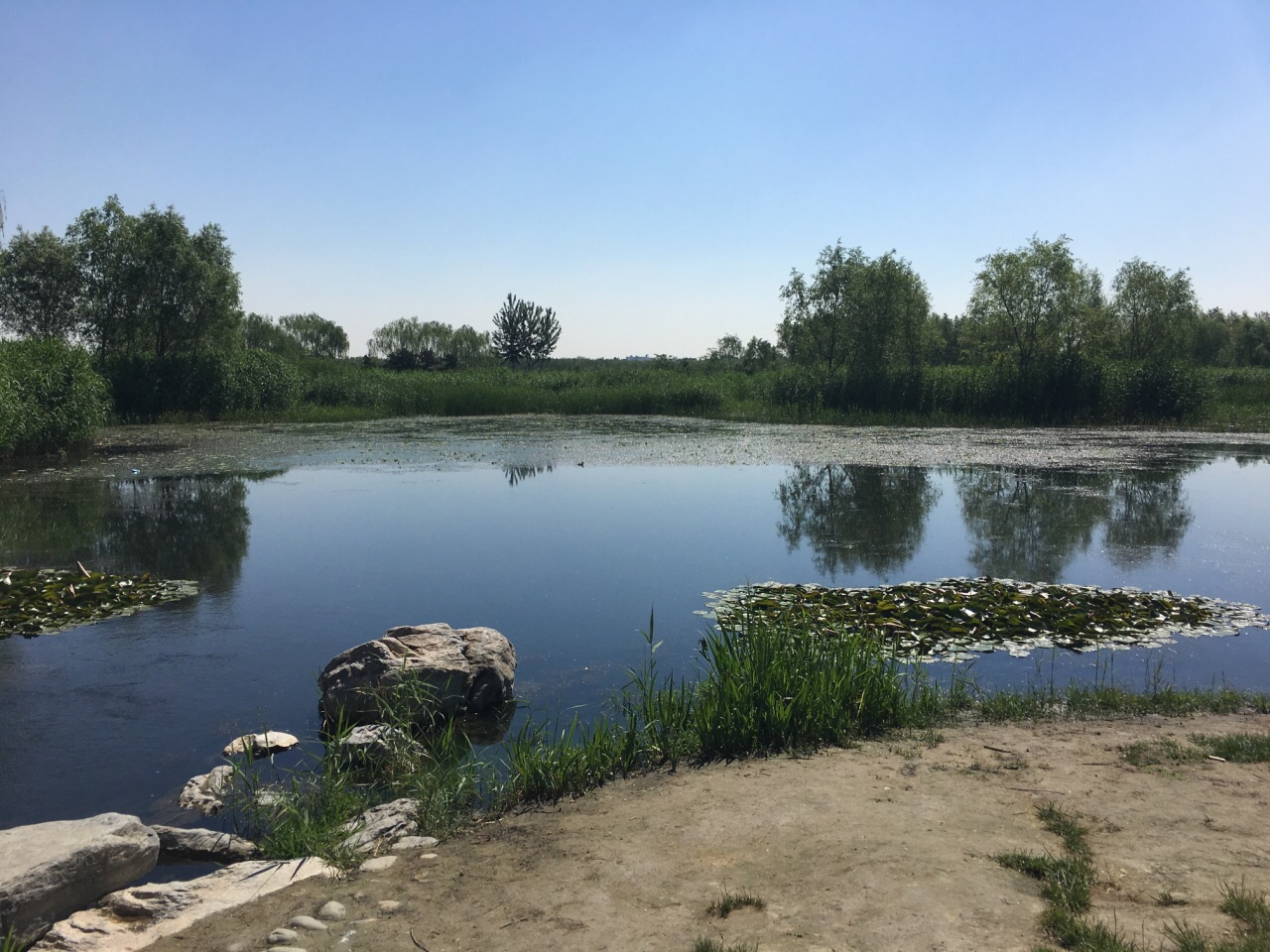 大興區念壇公園好玩嗎,大興區念壇公園景點怎麼樣_點評_評價【攜程