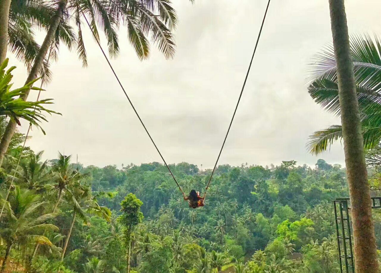 巴厘岛bali swing丛林大秋千一日游【ins网红热门景点,独立成团,行程