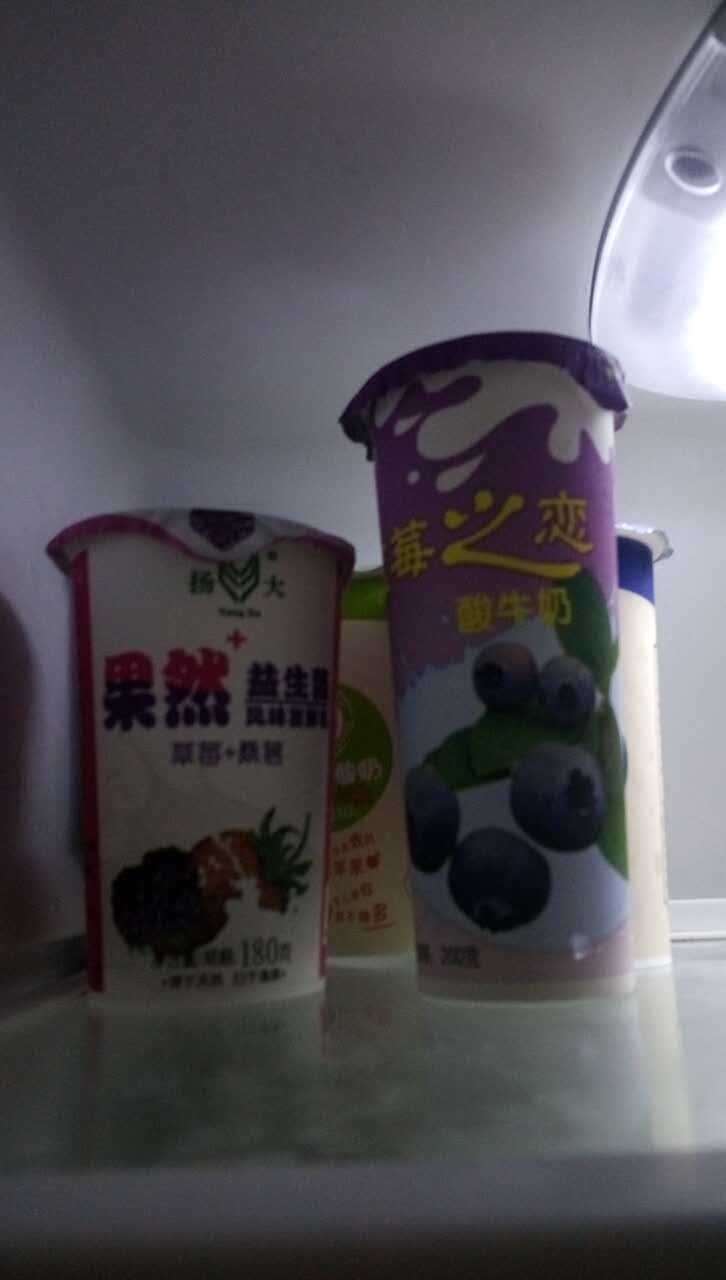 揚大康源乳業鮮奶吧(大學北路店)