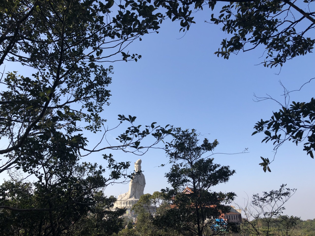 观音山国家森林公园