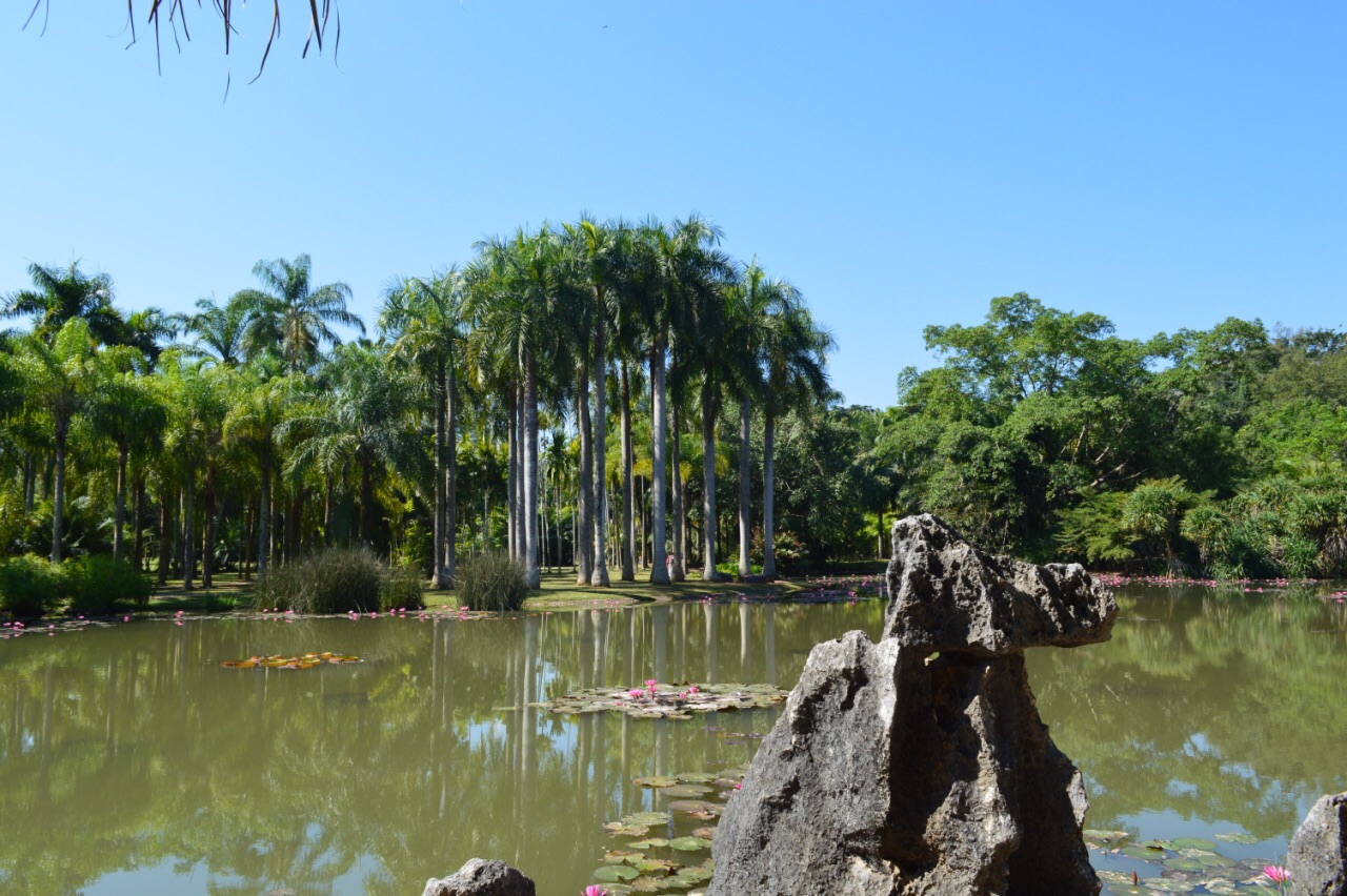 中科院西雙版納熱帶植物園