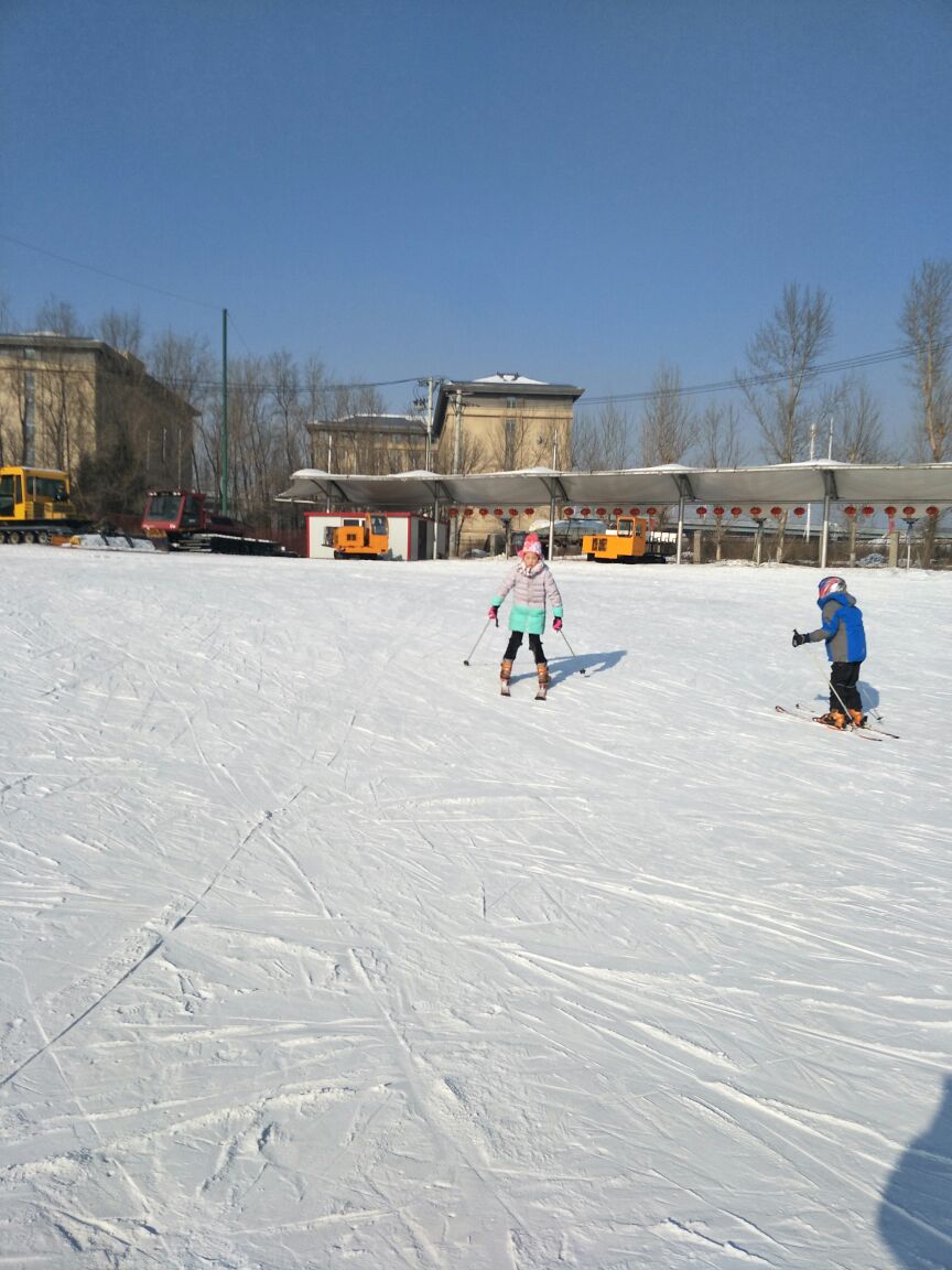 哈尔滨名都滑雪场好玩吗,哈尔滨名都滑雪场景点怎么样_点评_评价