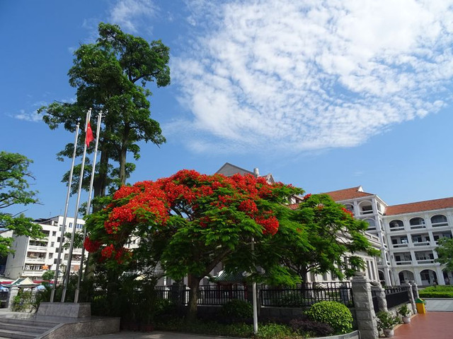 福州一中、师大附中,恭喜恭喜!