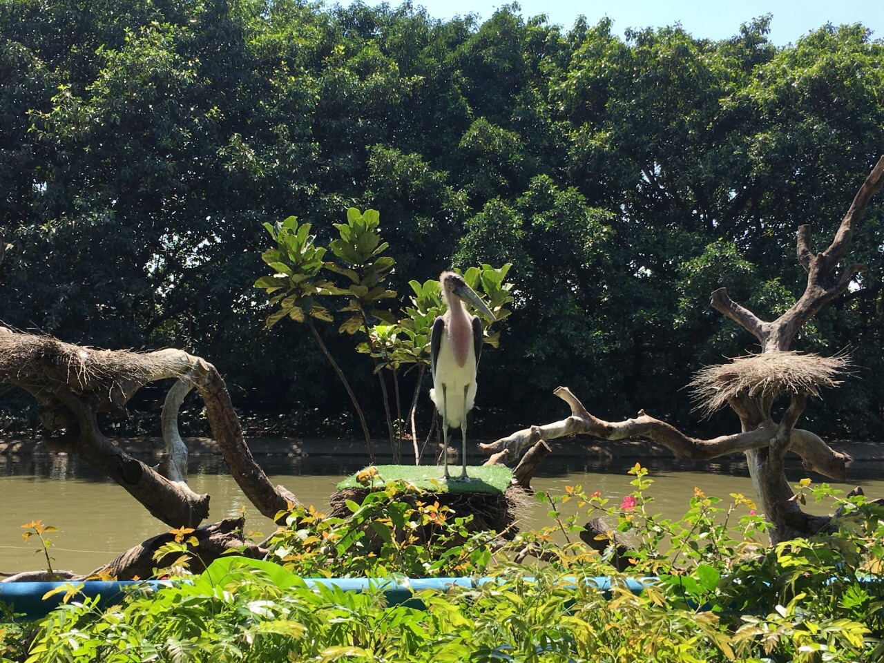 【攜程攻略】廣州長隆飛鳥樂園好玩嗎,廣州長隆飛鳥樂園景點怎麼樣