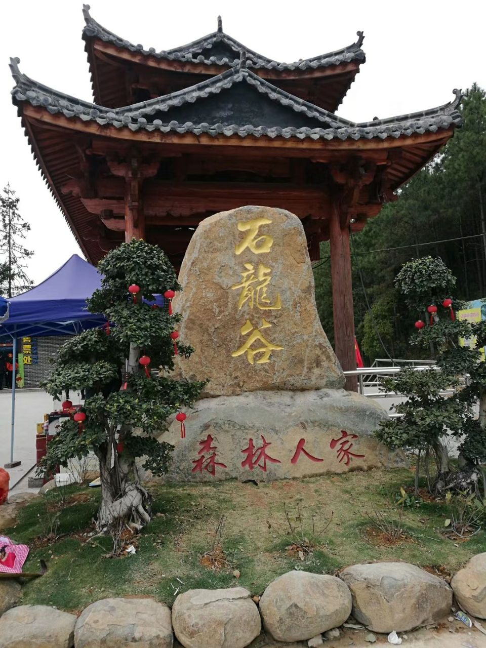 石龙谷森林游乐园