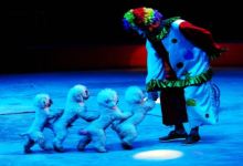 古文化街老戏楼图片 10060q000000gbtah91E2_D_220_150.jpg?v=20181123_10_32