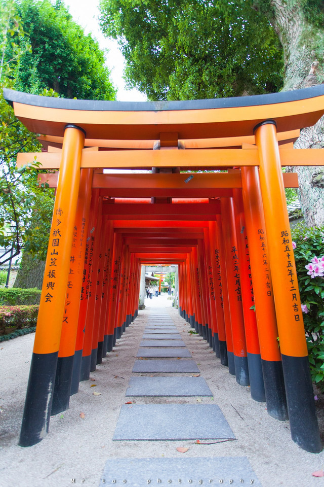 日本 让春日在烈阳下优美燃尽 携程氢气球