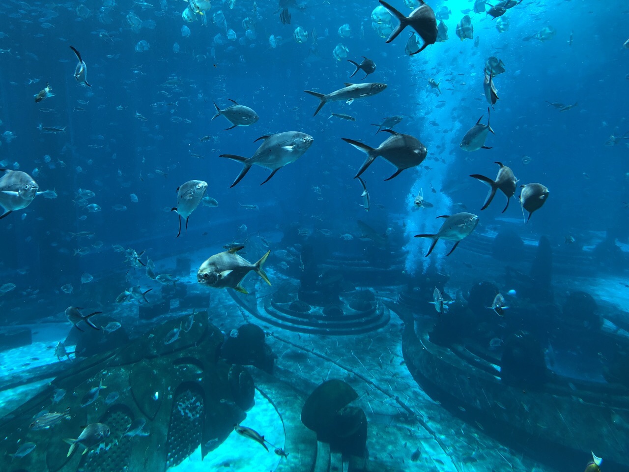 三亚亚特兰蒂斯失落的空间水族馆