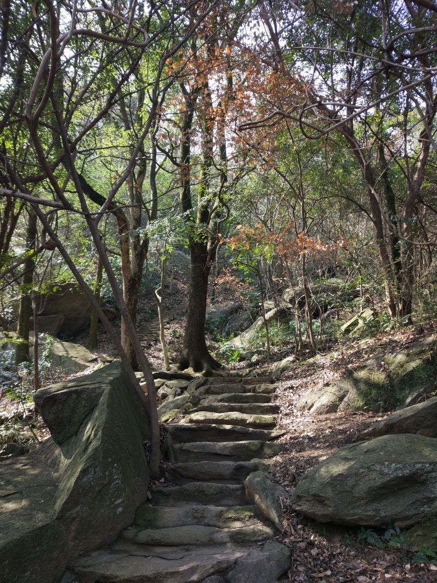 紫清山景点介绍图片