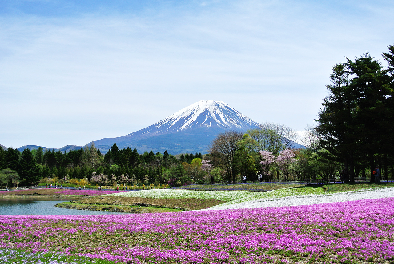 河口湖と桜と富士山 山梨の風景 | JAPAN WEB MAGAZINE 「日本の風景」 JAPAN SCENE