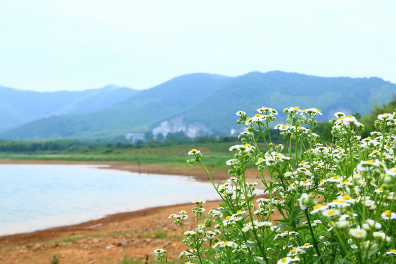 阳羡湖深氧公园图片