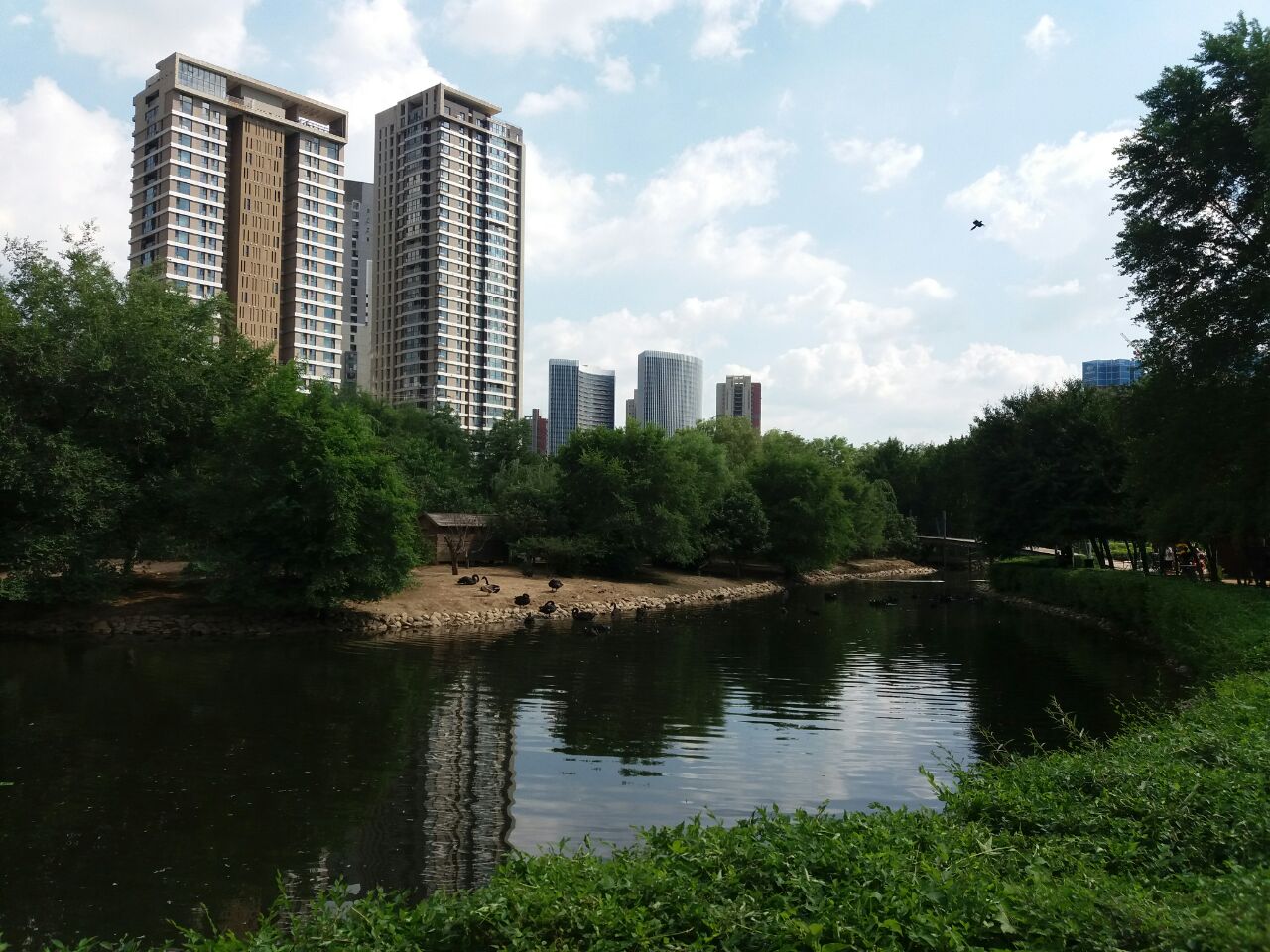 瀋陽長白島森林公園攻略,瀋陽長白島森林公園門票/遊玩攻略/地址/圖片