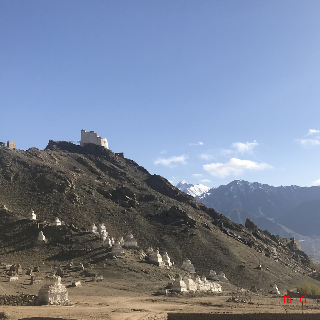 喜马拉雅另一边-噶伦堡,大吉岭,加济兰加到拉达克-印度纪行(1)