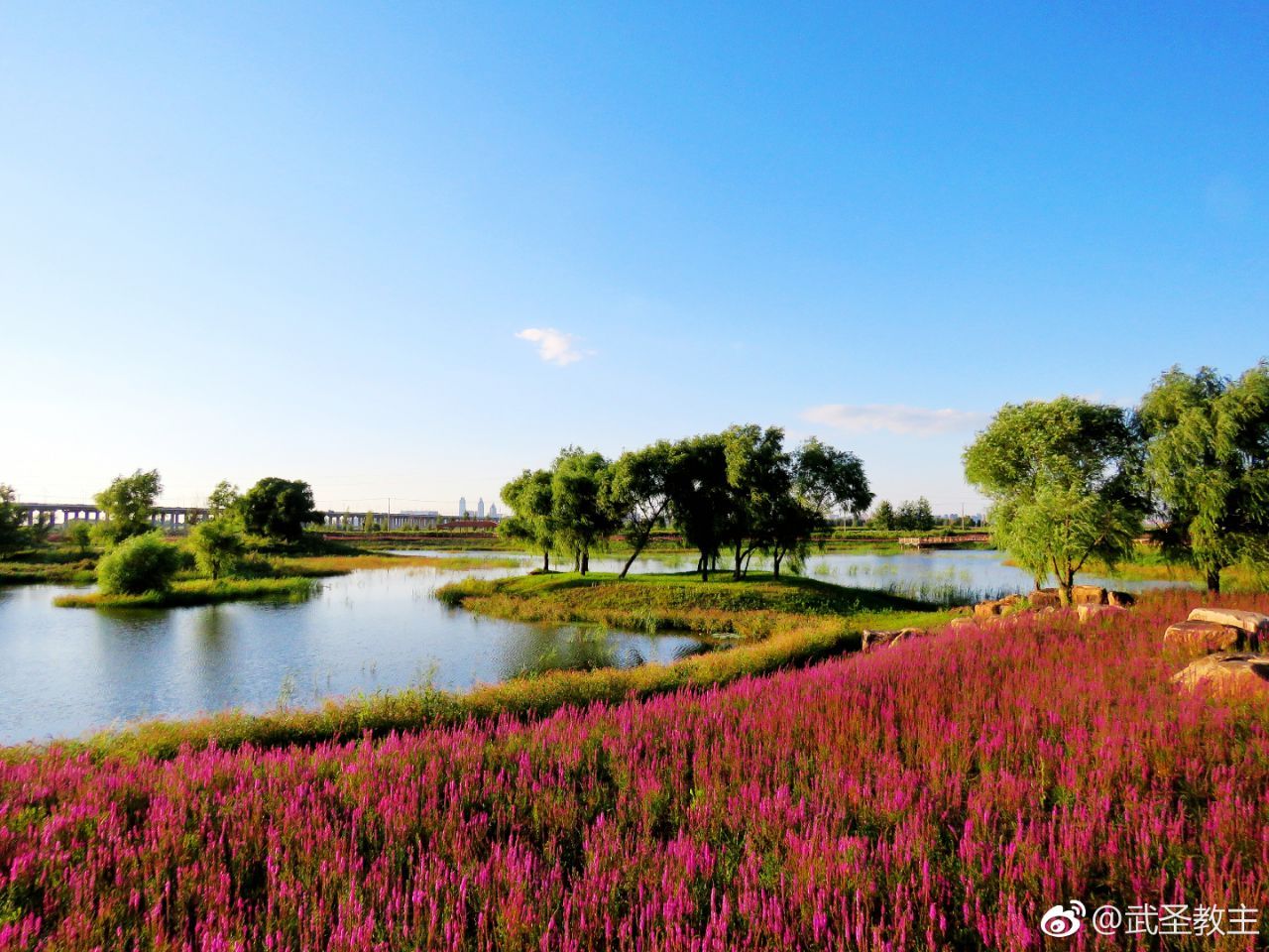 【高清图】洋湖湿地公园风景 43-中关村在线摄影论坛