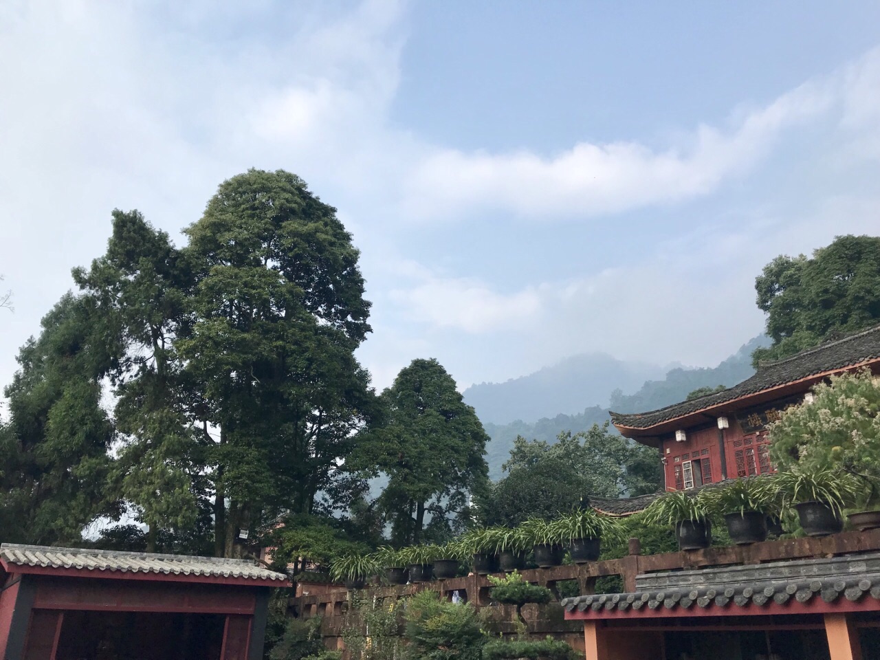 2019万年寺_旅游攻略_门票_地址_游记点评,峨眉山旅游景点推荐 - 去哪儿攻略社区