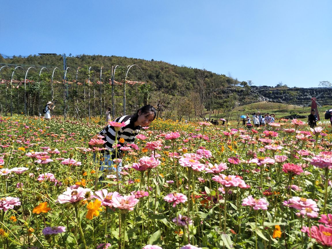领孩子可以小玩,花海,石林,不大,对得起门票. 2018-10-04有用 ( 0)