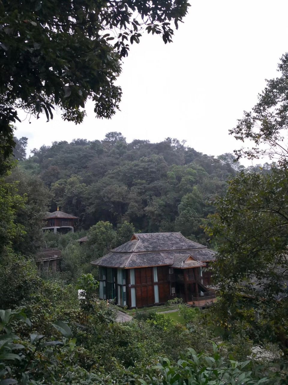 雨林古茶坊庄园