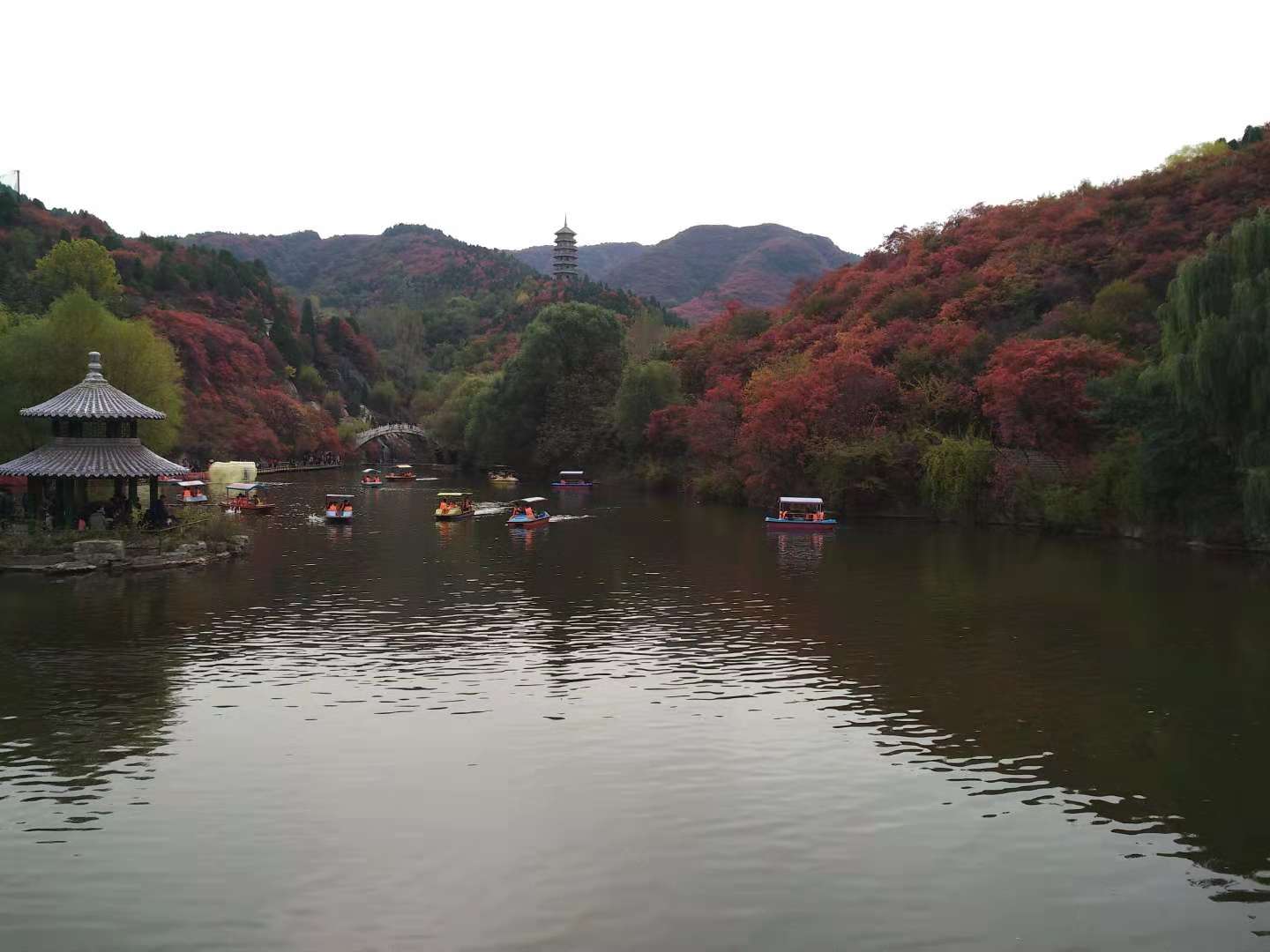 济南红叶谷的枫叶红了嘛?风景如何?