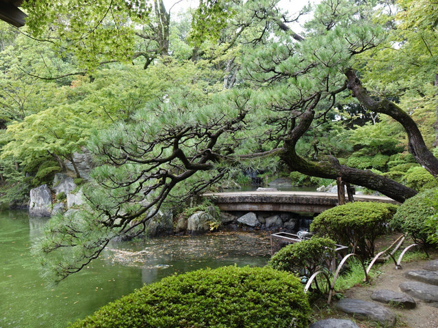 日本庭院 携程氢气球