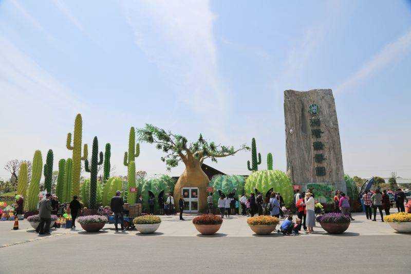 绿博园做个有情有意的看花人