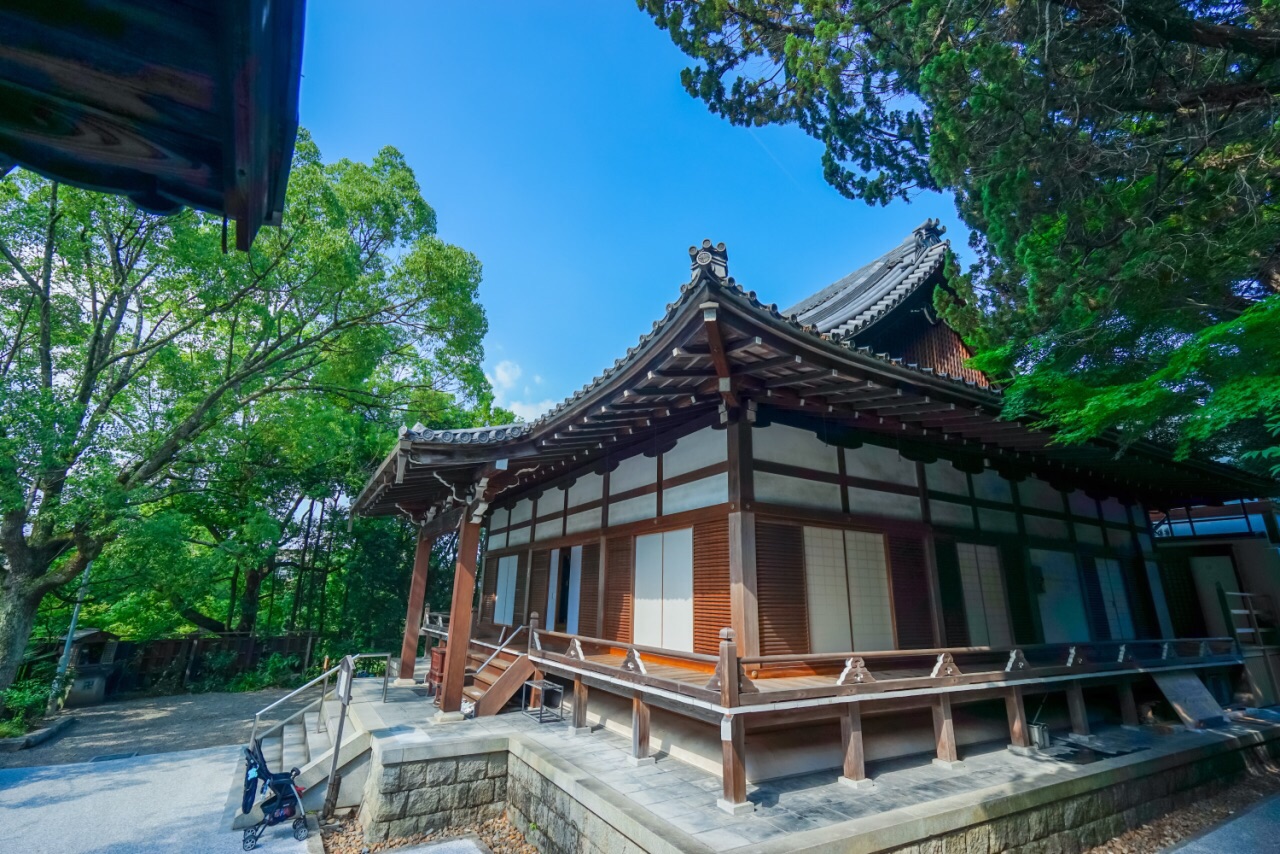 清水寺的人山人海,京都清莲院算是个比较另类的存在,非常的安静,清隐