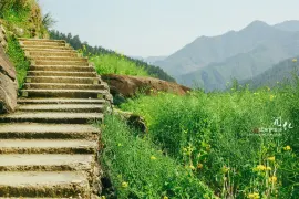 1-Day Kaihua Tour: Explore Taihuishan, Ancient Charm of Colorful Rainbow Gaotian Pit Village
