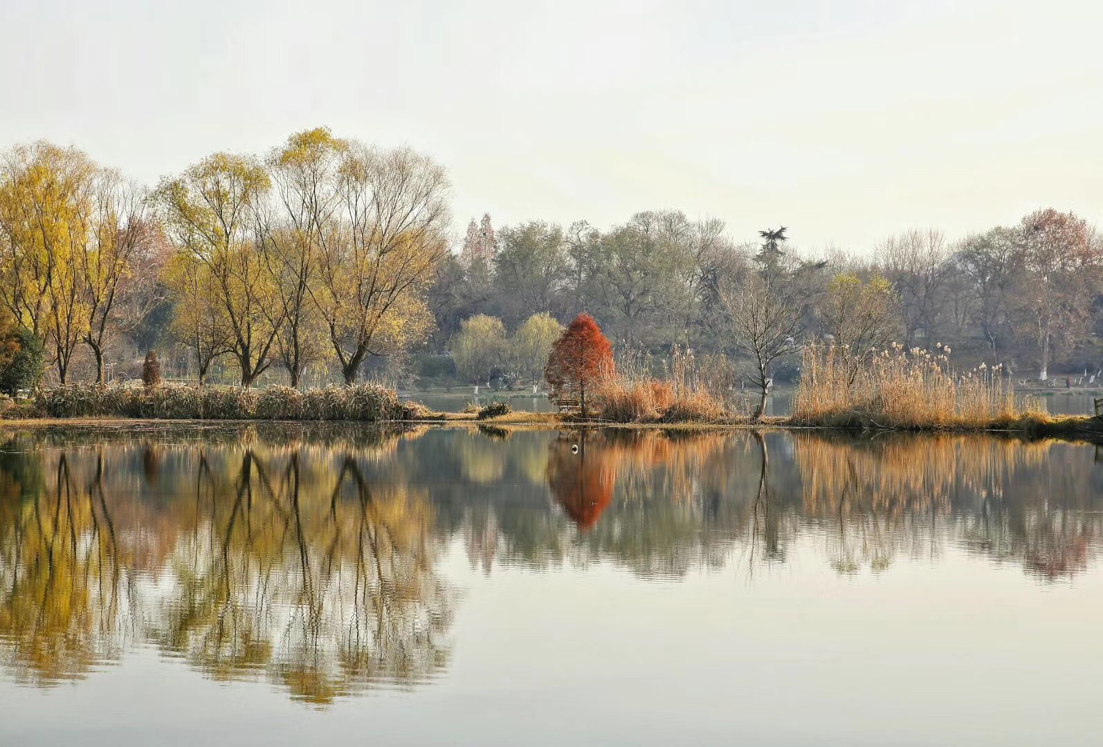 南京前湖公园好玩吗,南京前湖公园景点怎么样_点评_评价【携程攻略】