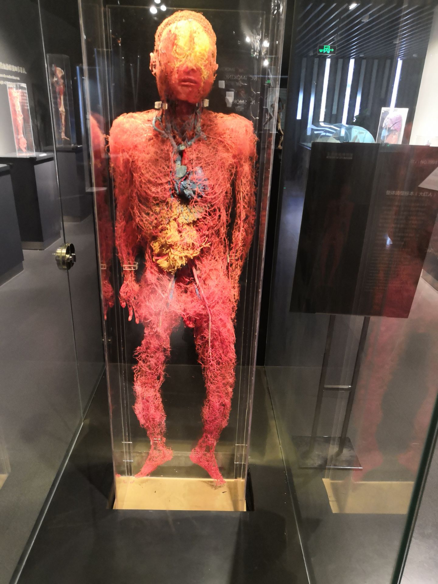 生命奥秘博物馆