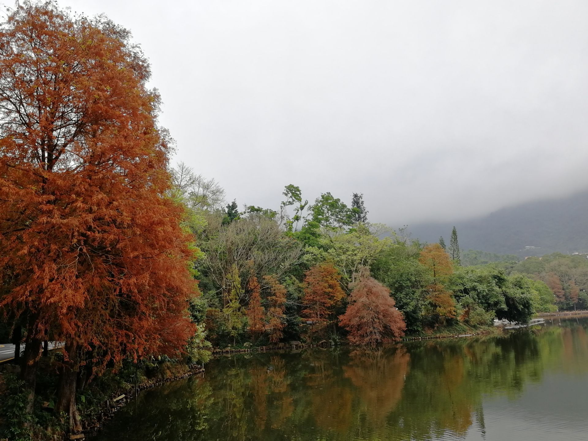 2021仙湖植物园-旅游攻略-门票-地址-问答-游记点评，深圳旅游旅游景点推荐-去哪儿攻略