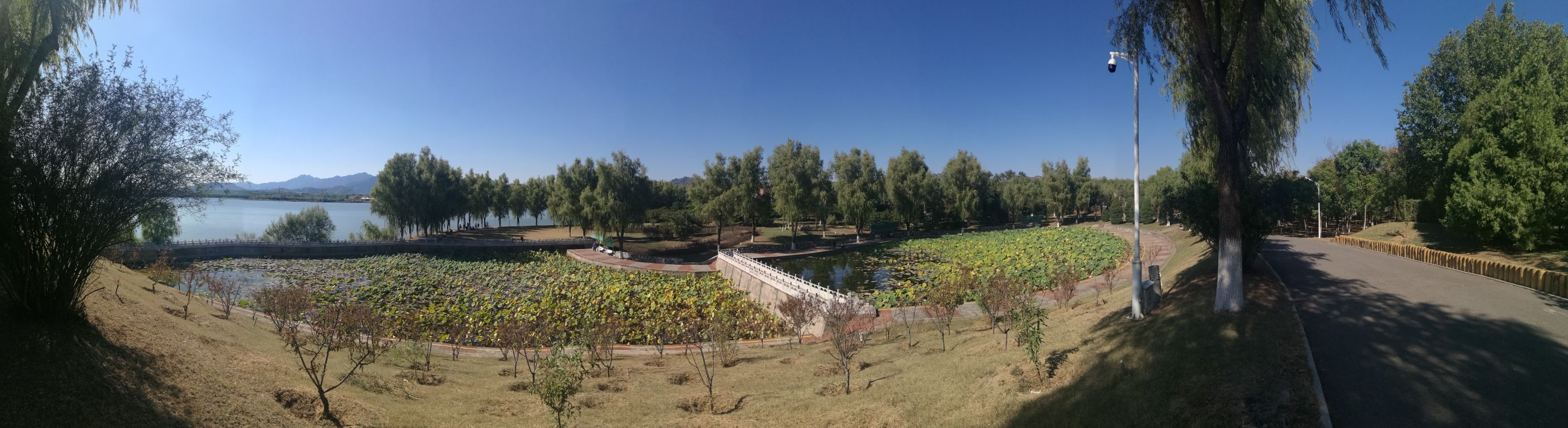 2019青龍湖公園_旅遊攻略_門票_地址_遊記點評,北京旅遊景點推薦 - 去