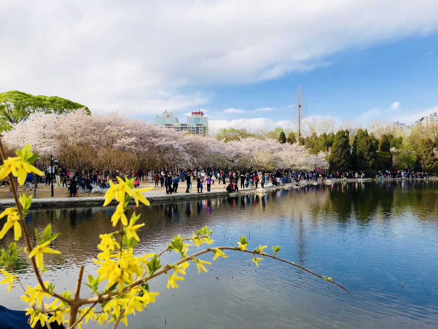 2019玉渊潭公园_旅游攻略_门票_地址_游记点评,北京旅游景点推荐 - 去