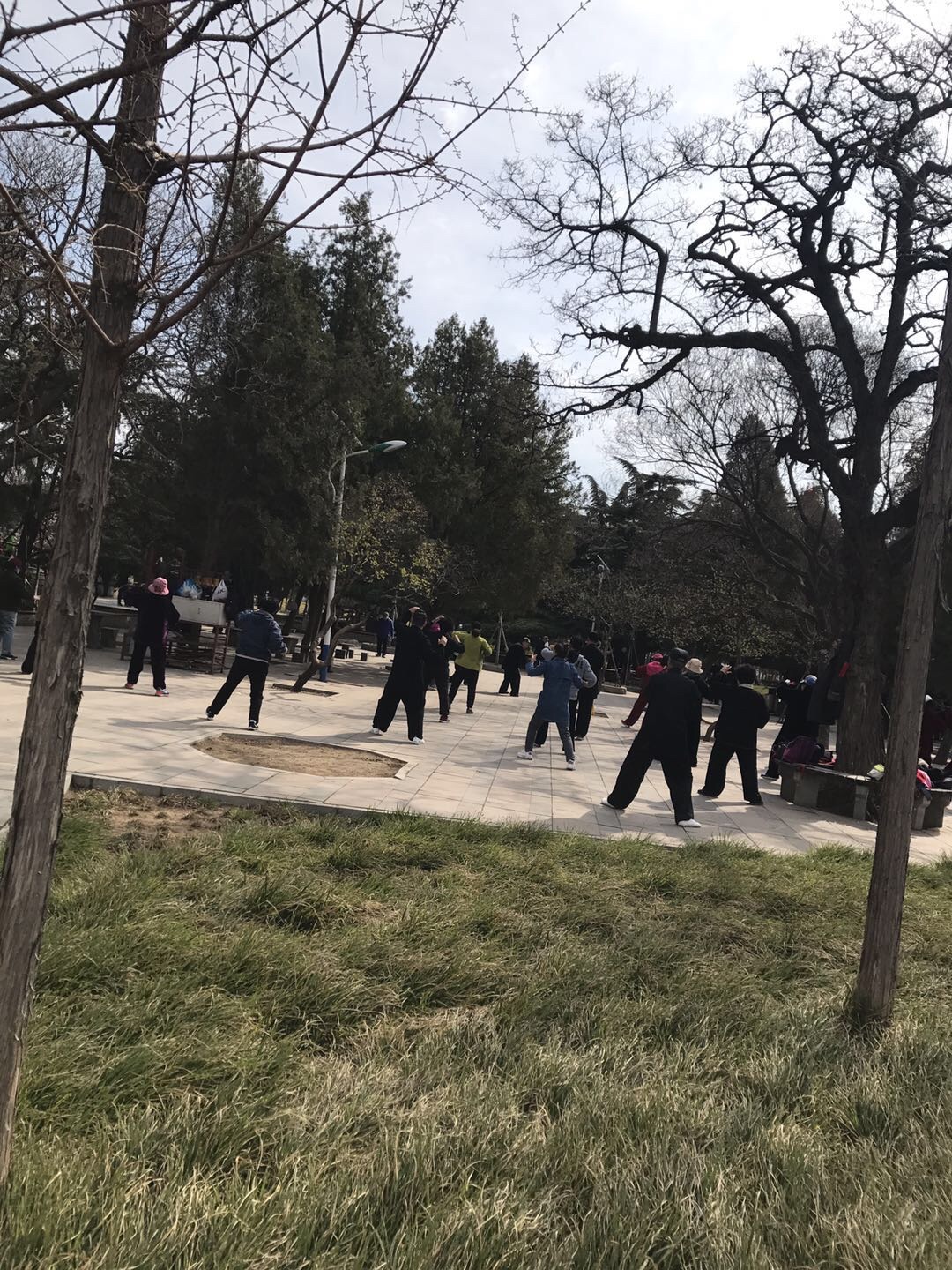 大連中山公園攻略,大連中山公園門票/遊玩攻略/地址/圖片/門票價格