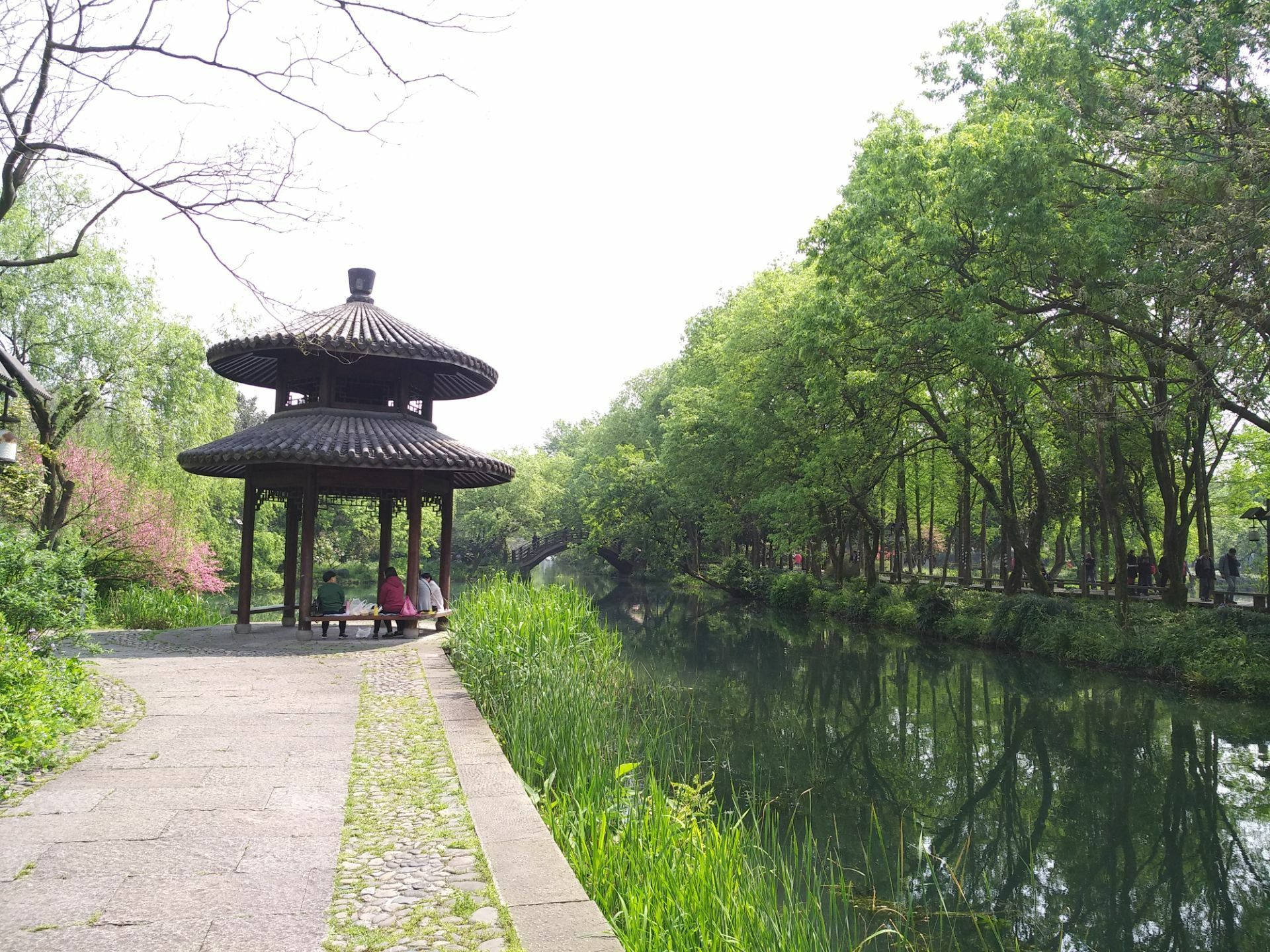 北京踏青好去处——马家湾湿地公园 - 知乎