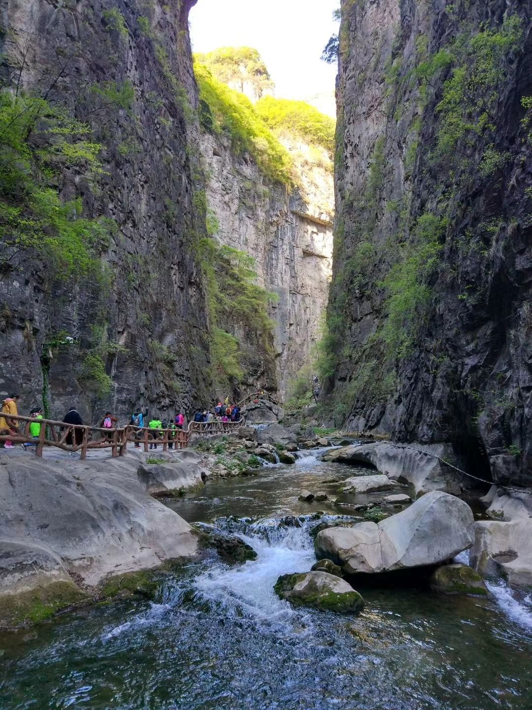 2020太行山大峡谷-旅游攻略-门票-地址-问答-游记点评，壶关旅游旅游景点推荐-去哪儿攻略