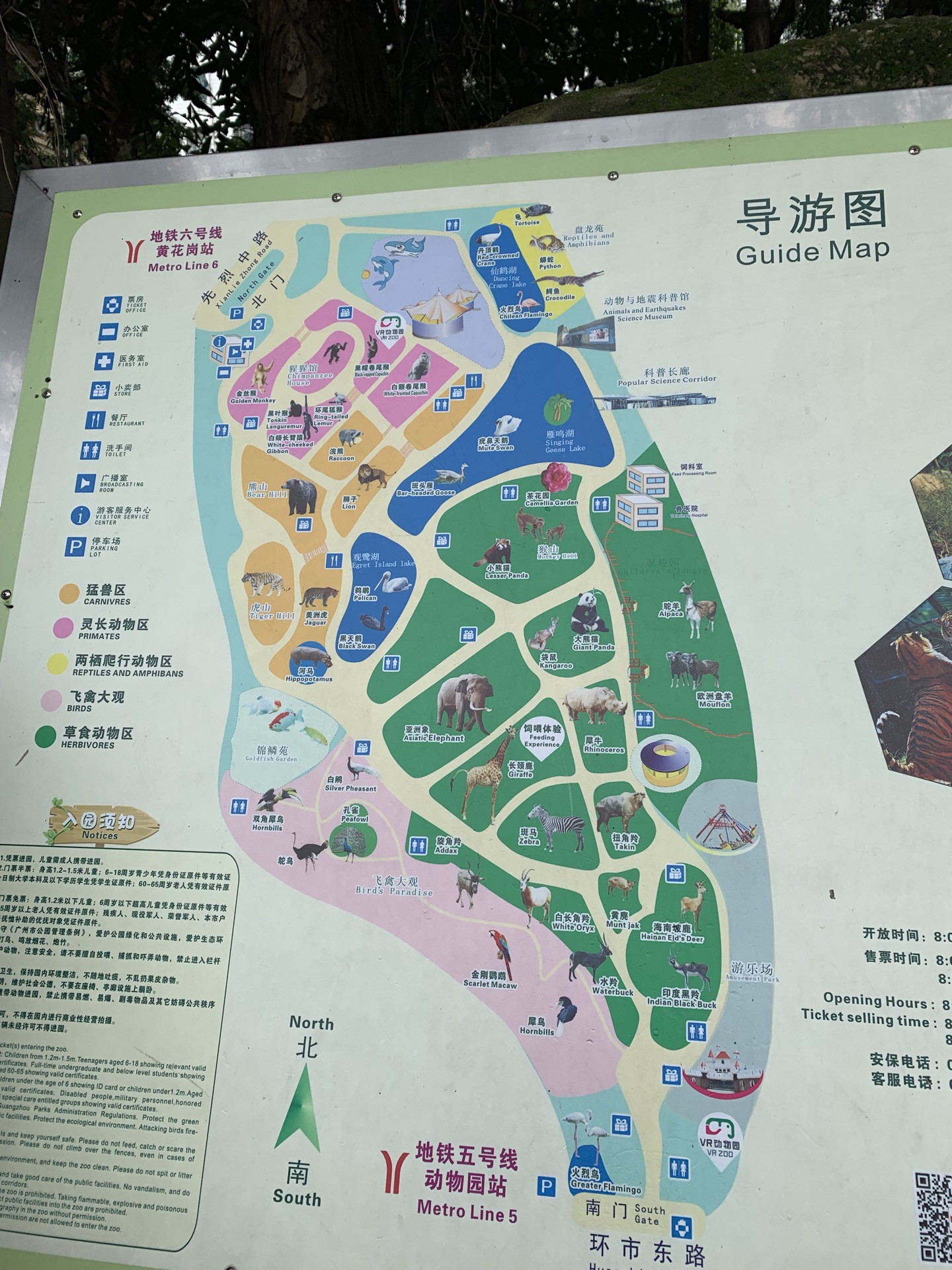 广州动物园门票多少钱一张(广州动物园门票多少钱一张票)