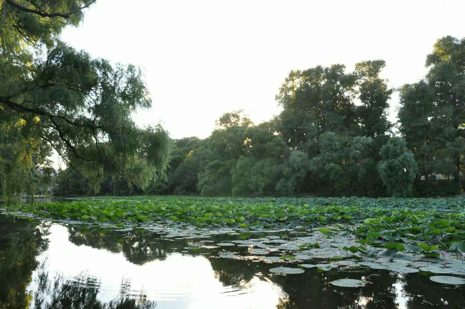 齊齊哈爾龍沙公園好玩嗎,齊齊哈爾龍沙公園景點怎麼樣_點評_評價