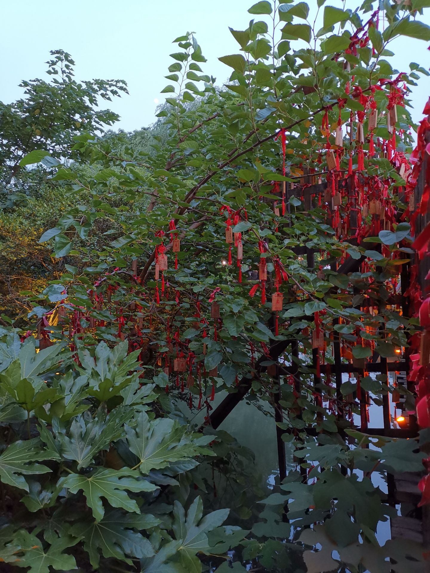 位于西栅景区内的月老庙不需要门票,月老庙从内到外的红色,很喜庆,庙