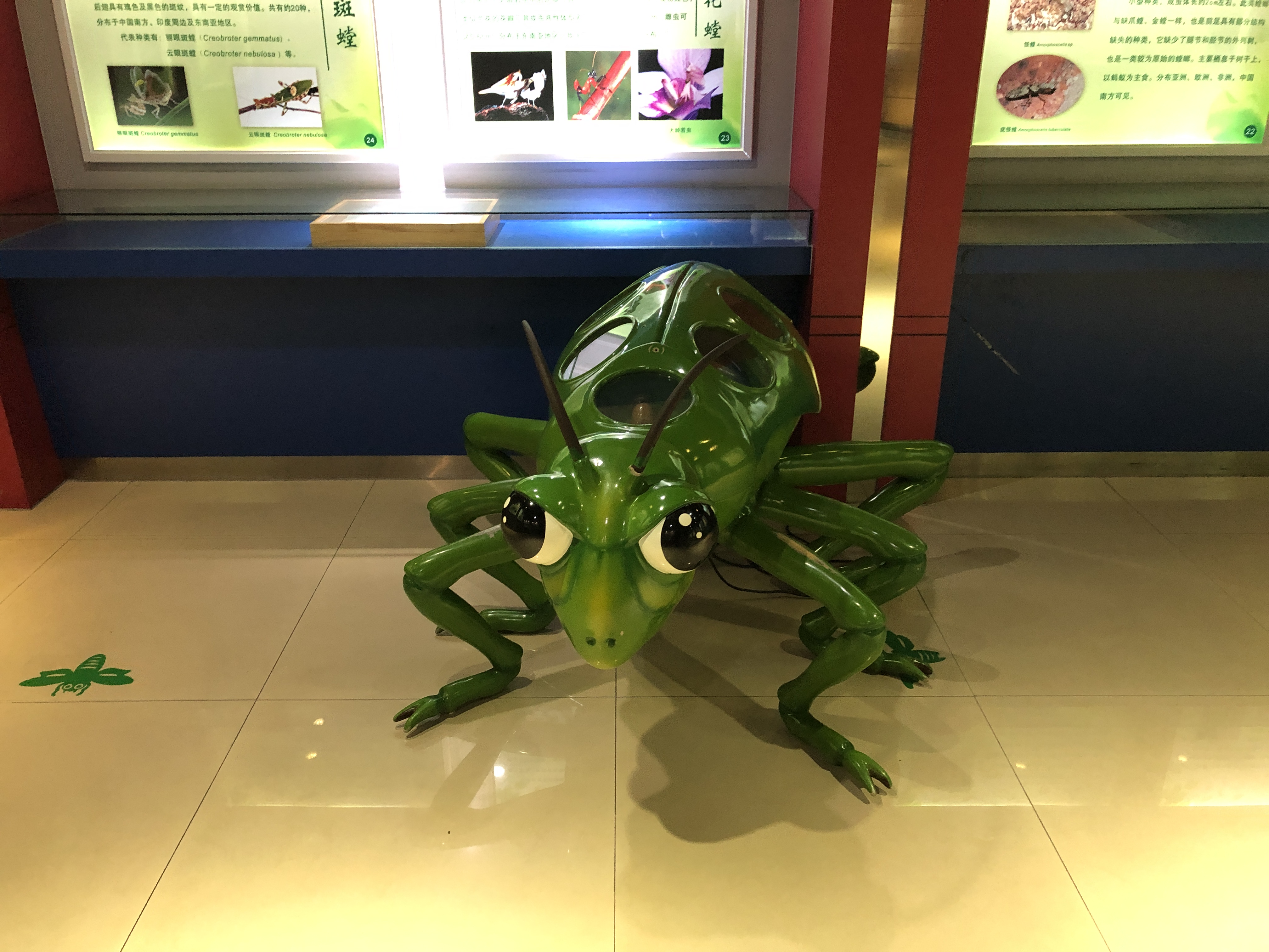 2019上海昆虫博物馆-旅游攻略-门票-地址-问答-游记点评，上海旅游旅游景点推荐-去哪儿攻略